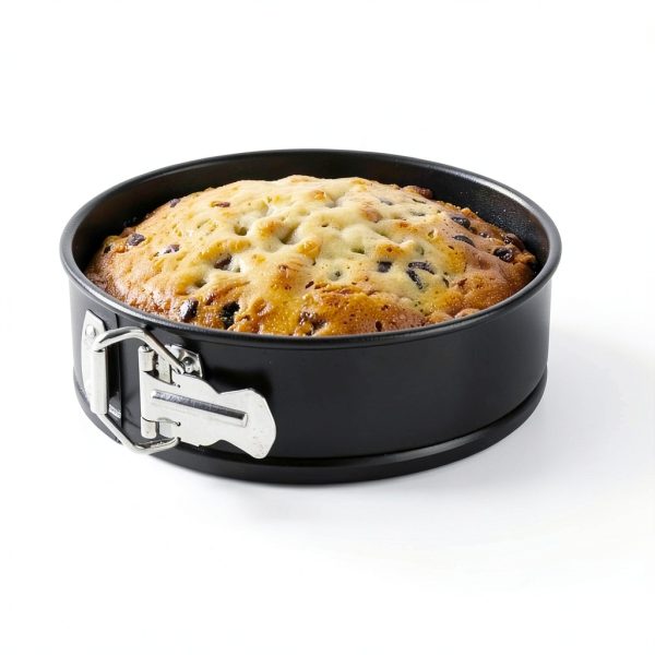 MASSUGAR Springform Pan Cast Iron 4 7 9 Inch-3