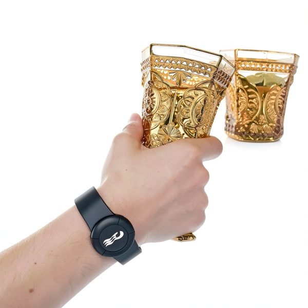 GudCoaks Princess Cruise Medallion Wristband Set 4 Silicone Bracelets-5